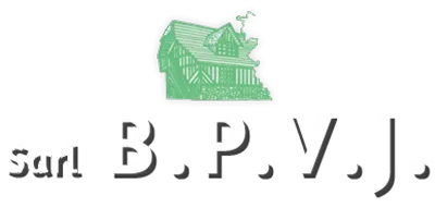 logo bpvj